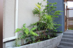堺市I様邸の植栽